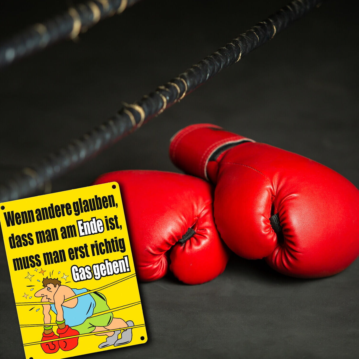 Boxer Metallschild zum Thema Motivation