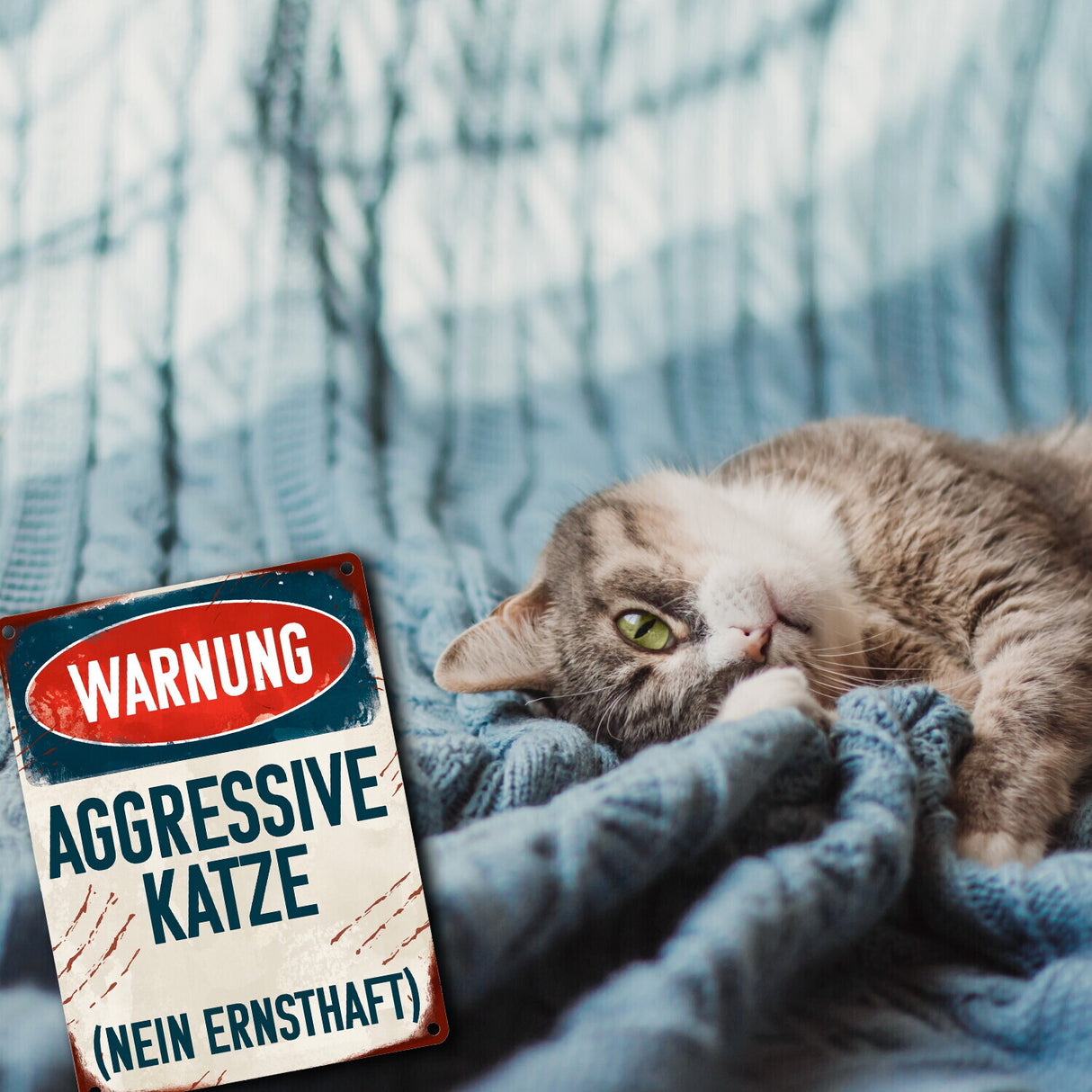 Warnung aggressive Katze (nein ernsthaft) Metallschild für Katzenhalter