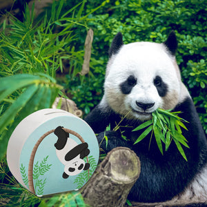 Panda auf Bambus Spardose