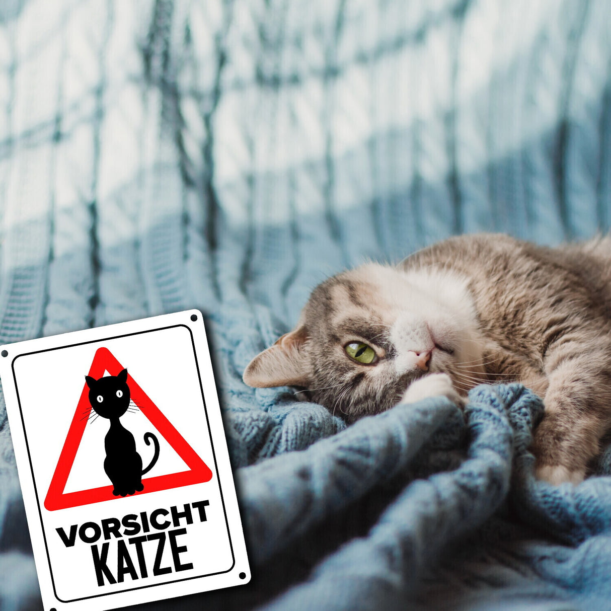 Vorsicht Katze Metallschild mit Katzen Silhouette