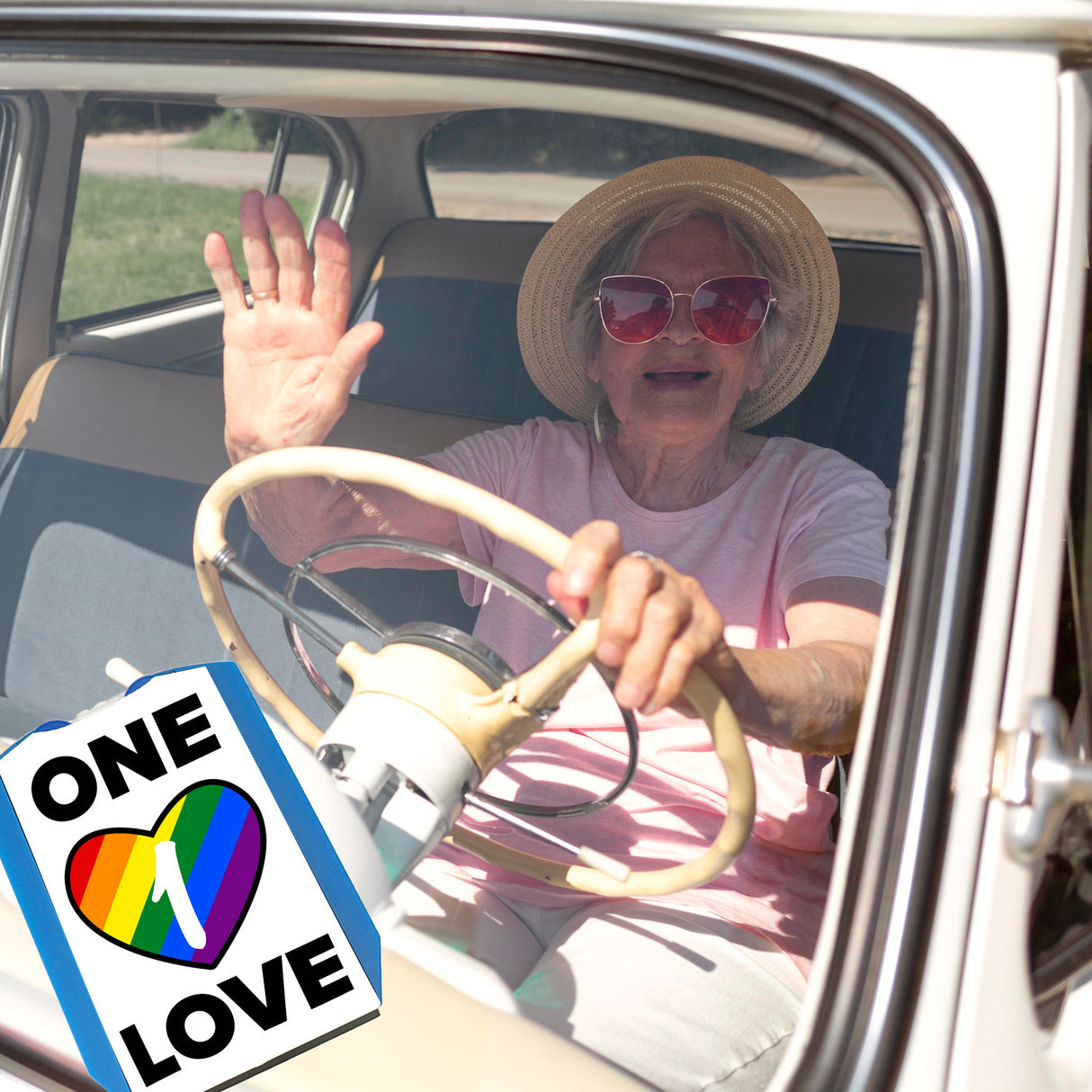 One Love Regenbogen Parkscheibe mit 2 Einkaufswagenchips