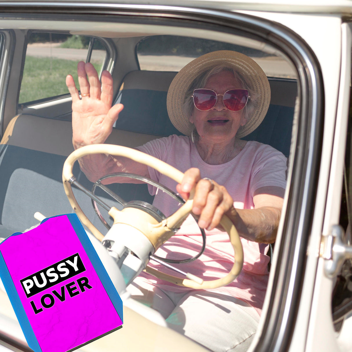 Pussy Lover Parkscheibe mit 2 Einkaufswagenchips