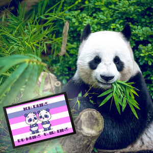 Panda Pärchen Fußmatte in 35x50 cm mit Spruch