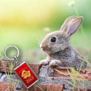 Happy New Year of the Rabbit 2023 Schlüsselanhänger mit Kaninchen