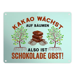 Kakao Metallschild in 15x20 cm mit Spruch Schokolade ist Obst