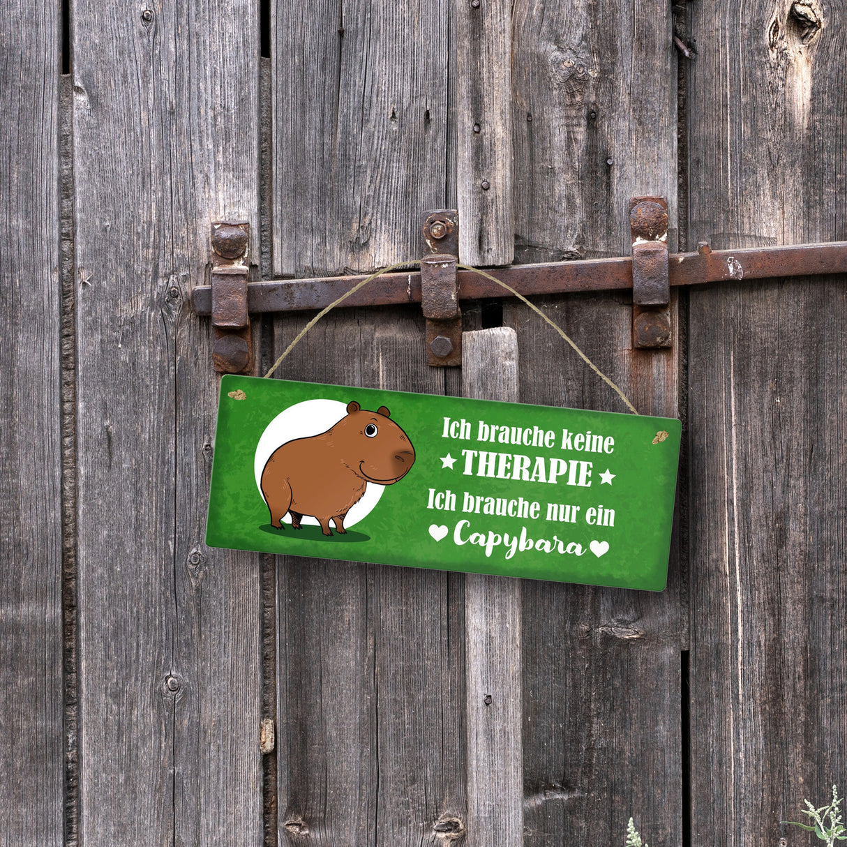 Keine Therapie – ich brauche nur ein Capybara Metallschild