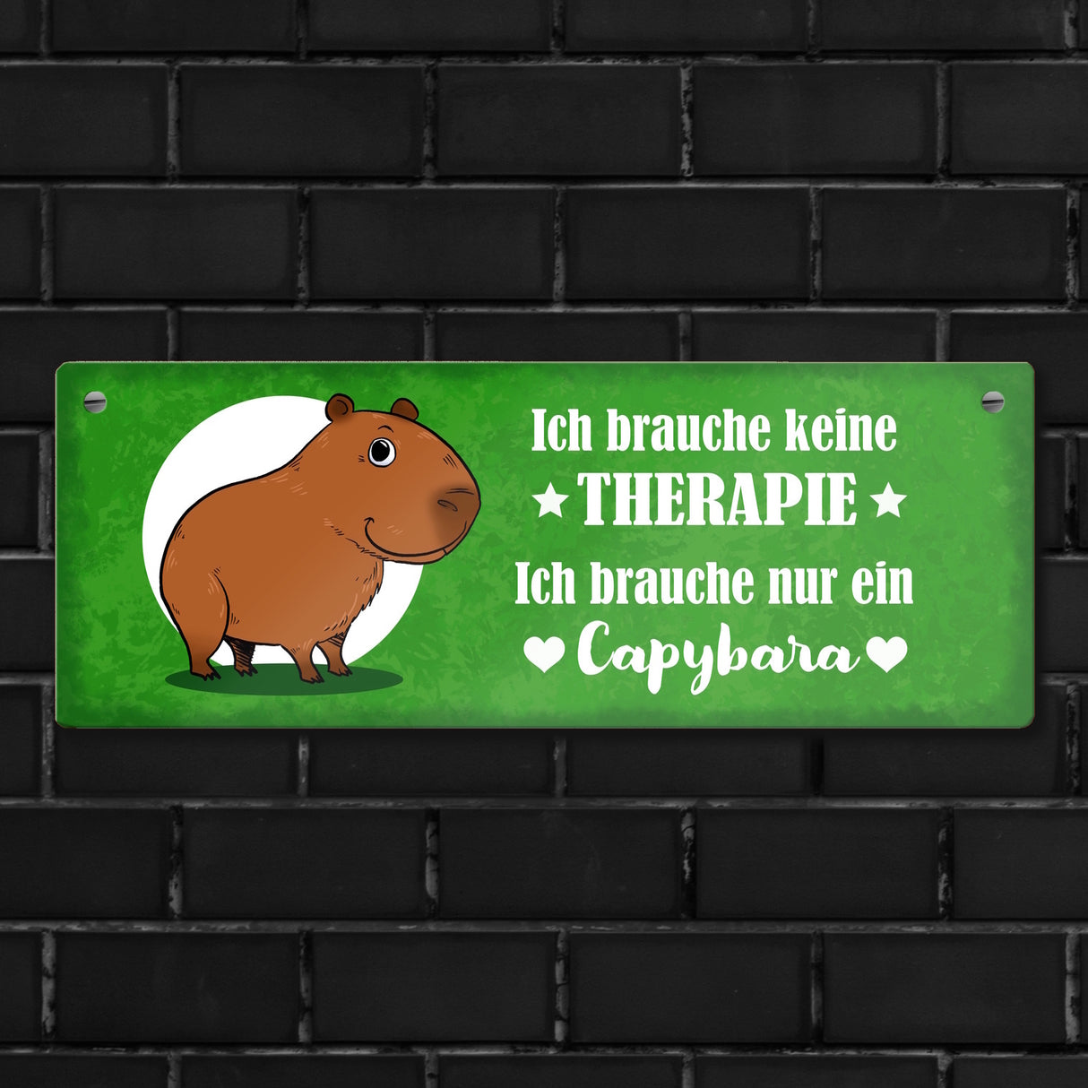 Keine Therapie – ich brauche nur ein Capybara Metallschild