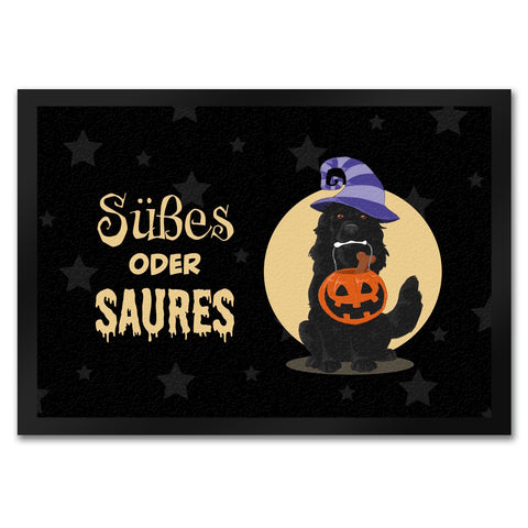 Süßes oder Saures Fußmatte in 35x50 cm mit niedlichem Hund