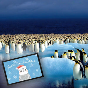 Pinguin mit Weihnachtsmütze Fußmatte in 35x50 cm und Spruch Frohe Weihnachten