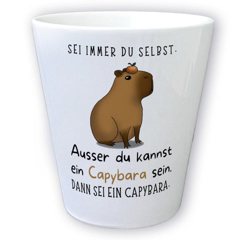 Sei immer du selbst - ausser du kannst ein Capybara sein Blumentopf