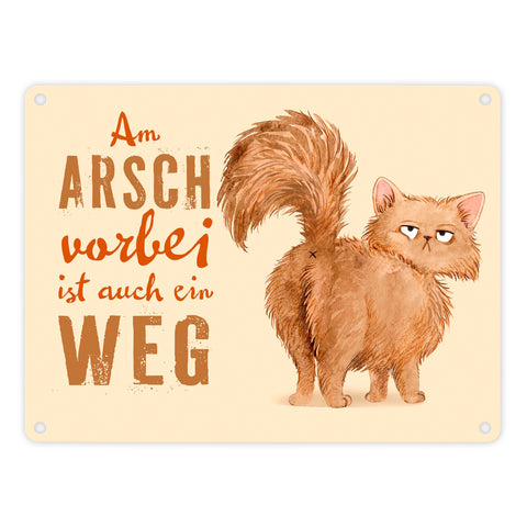 Katze Metallschild in 15x20 cm mit Spruch Am Arsch vorbei ist auch ein Weg