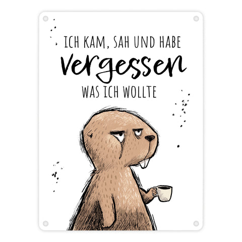 Biber Metallschild in 15x20 cm mit Spruch Kam, sah, habe vergessen