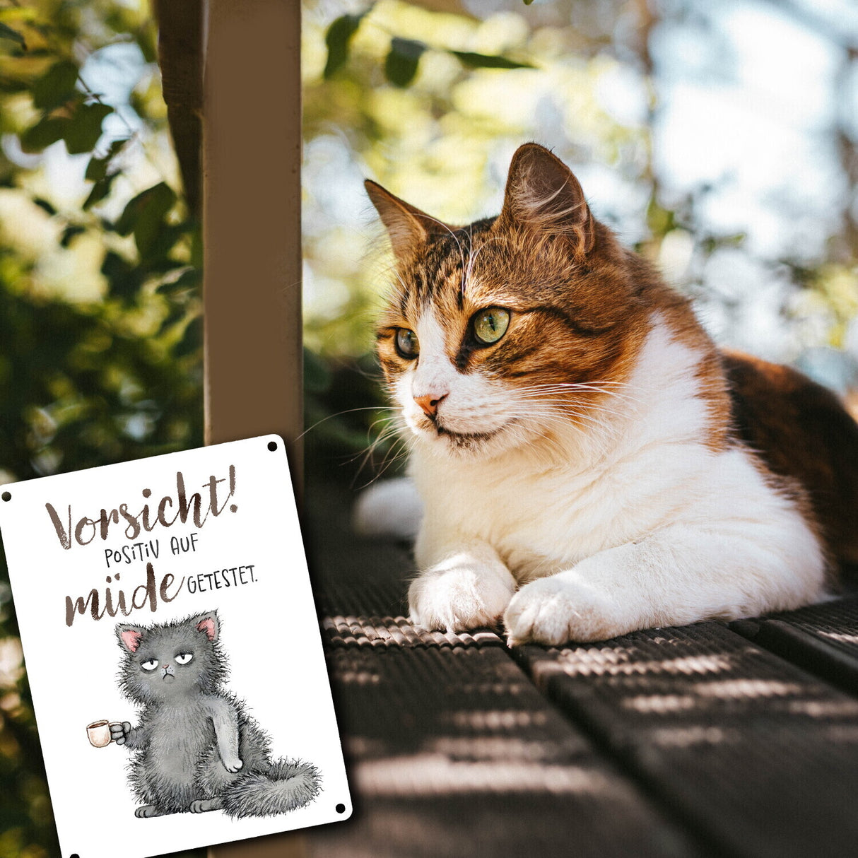 Katze Metallschild in 15x20 cm mit Spruch Vorsicht Positiv auf müde getestet