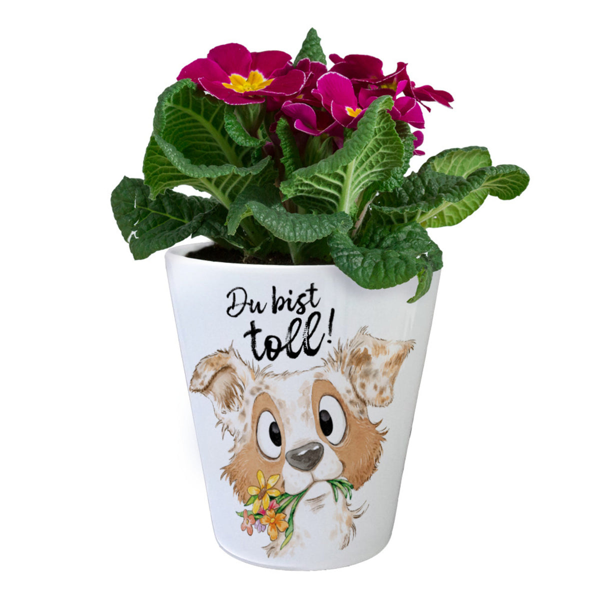 Hund Blumentopf mit Spruch Du bist toll