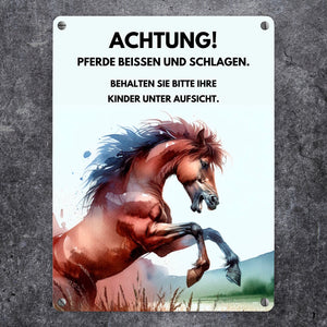 Pferd Metallschild in 15x20 cm mit Spruch Vorsicht Pferde können beißen und schlagen