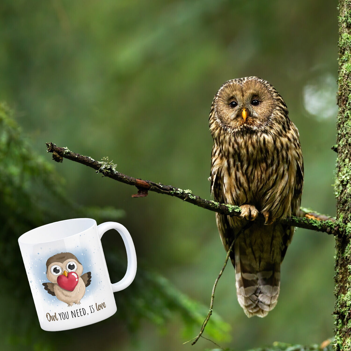 Eule Kaffeebecher mit Spruch Owl You need is love
