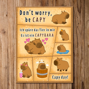 Capybara Magnet Set mit Spruch Dont worry be capy