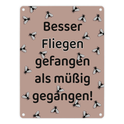 Fliege Metallschild in 15x20 cm mit Spruch Besser Fliegen fangen als faulenzen