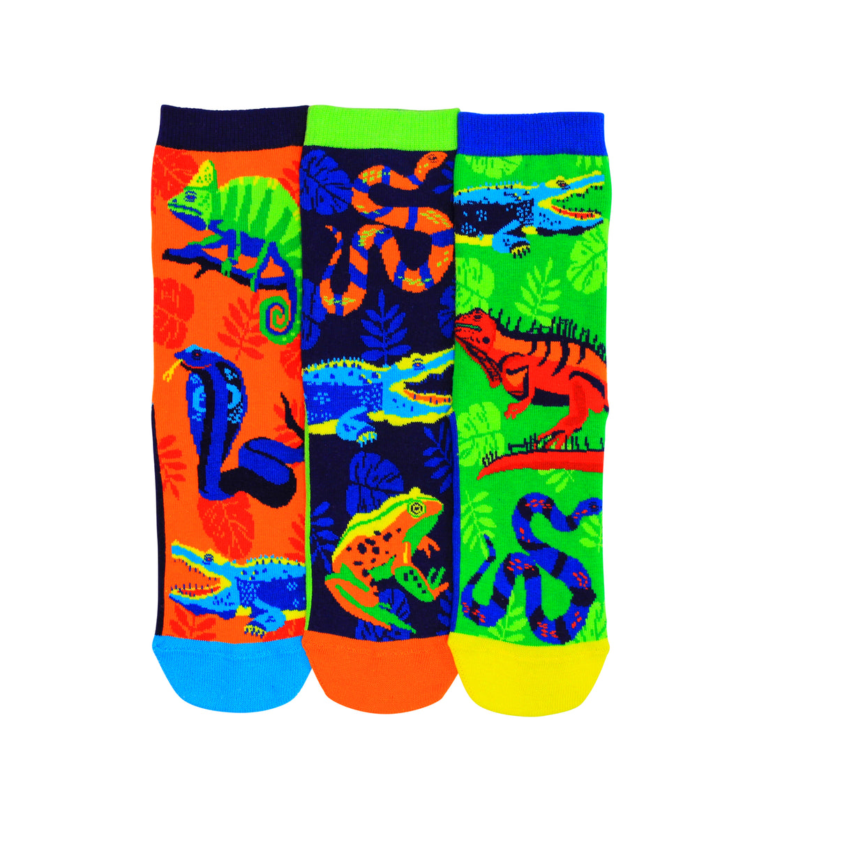 Reptilien Oddsocks Socken in 30,5-38,5 im 3er Set
