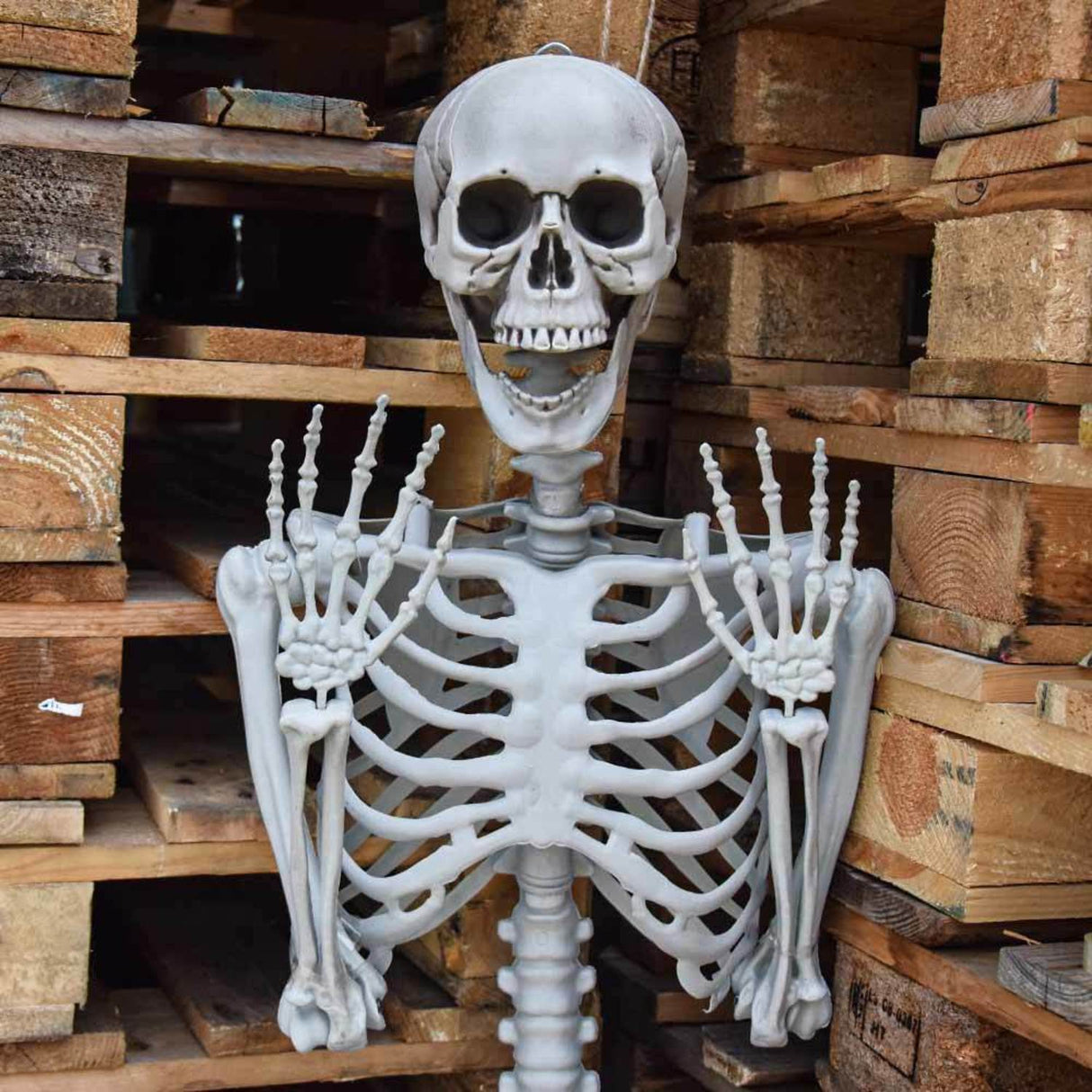 Deko-Skelett, 50 cm, hängend, beweglich - Halloween Figuren & Groß-Deko  Halloween Produkte 