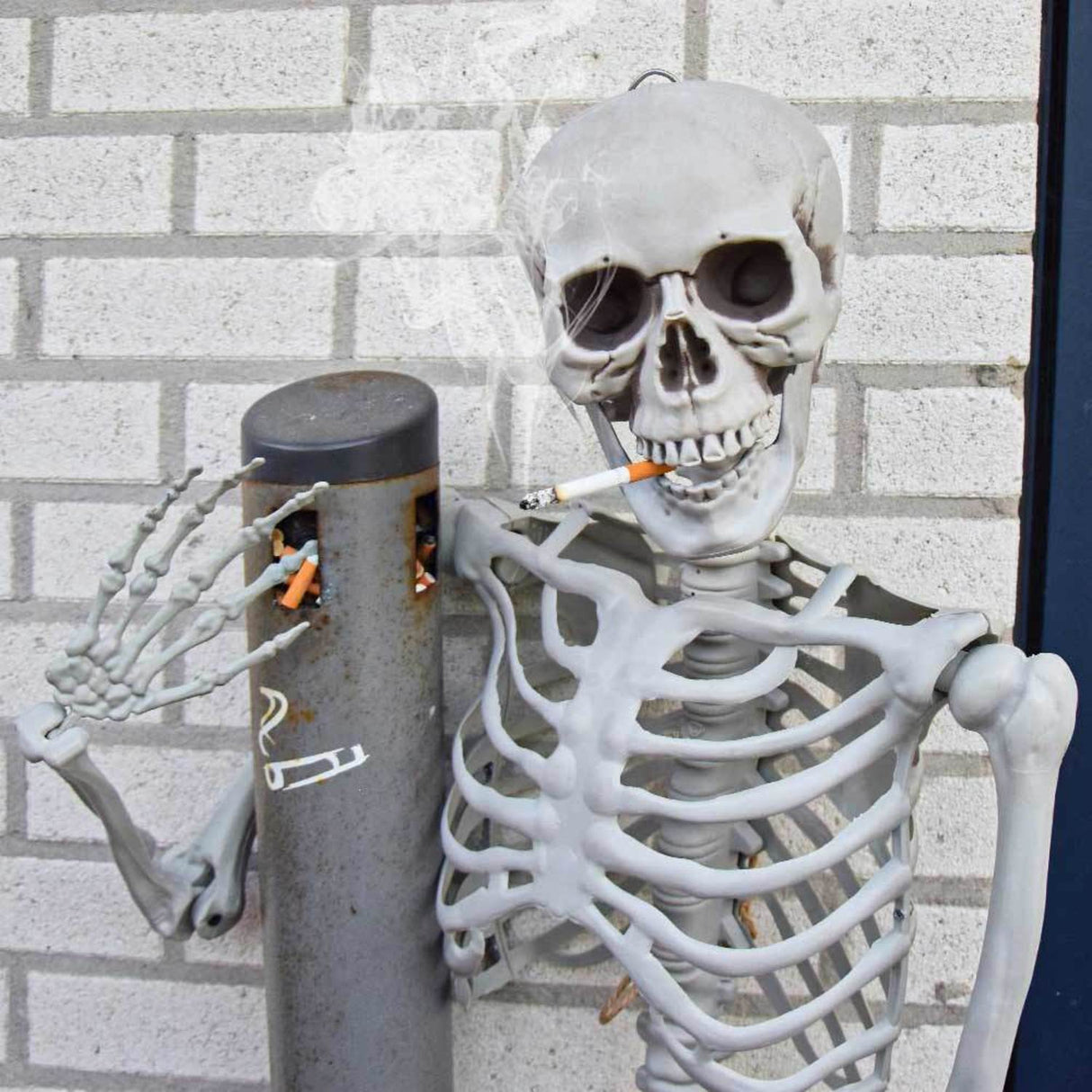 XXL Skelett Dekofigur, 1,70 Meter lebensgroß und gruselig