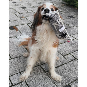 Fake News Zeitung Hundespielzeug