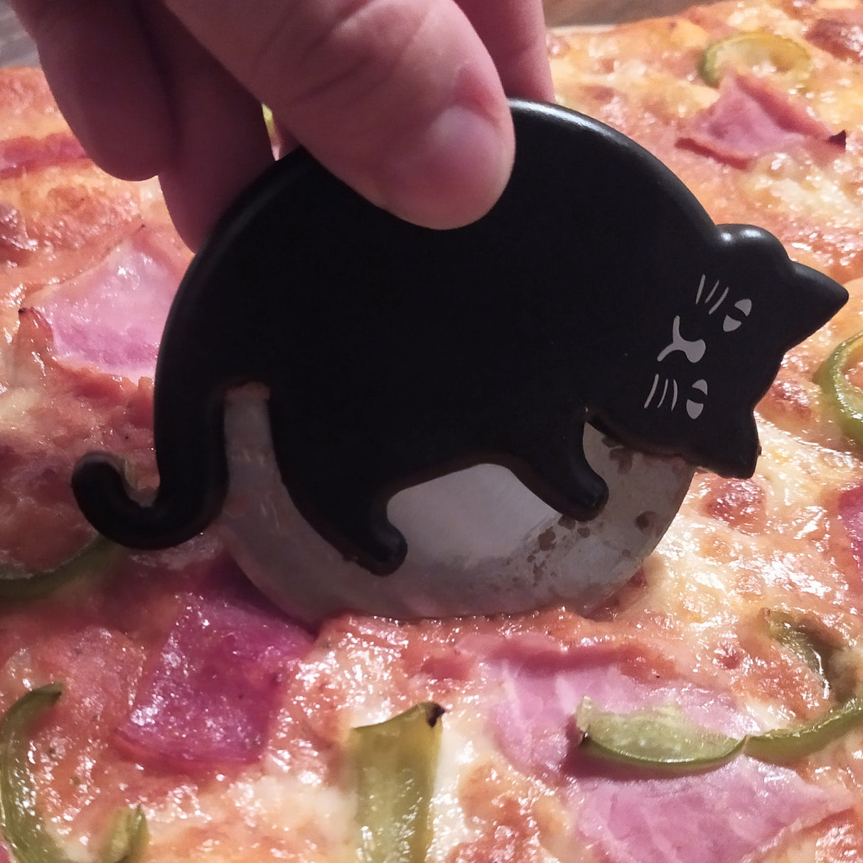 Katze Pizzaschneider