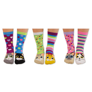 Oddsocks Catwalk Socken im 6er Set