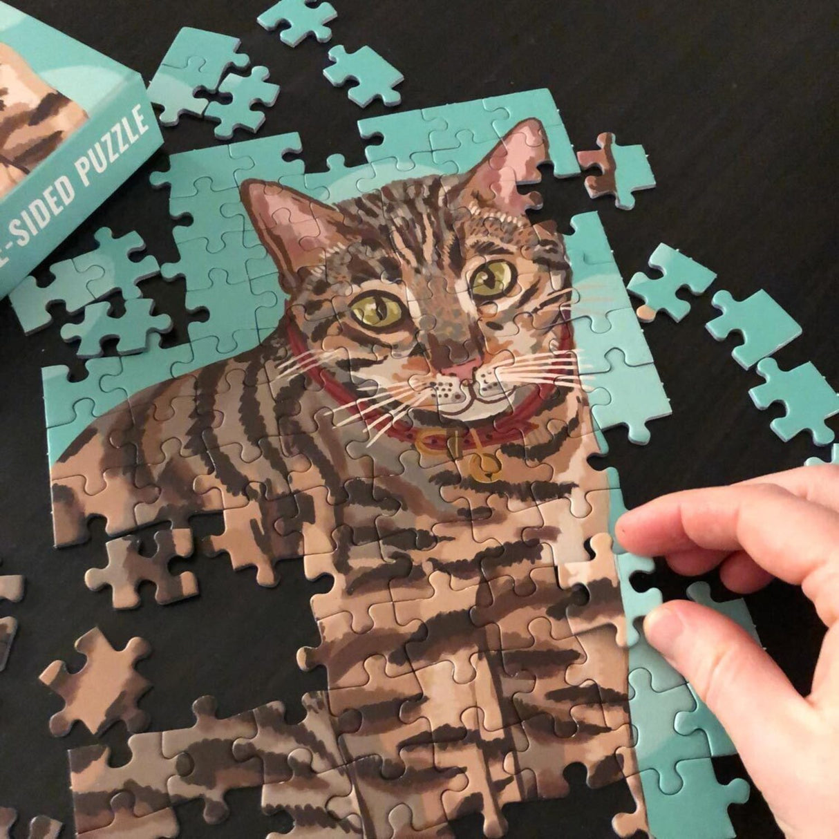 Katzen Puzzle mit zwei Seiten und 100 Teilen