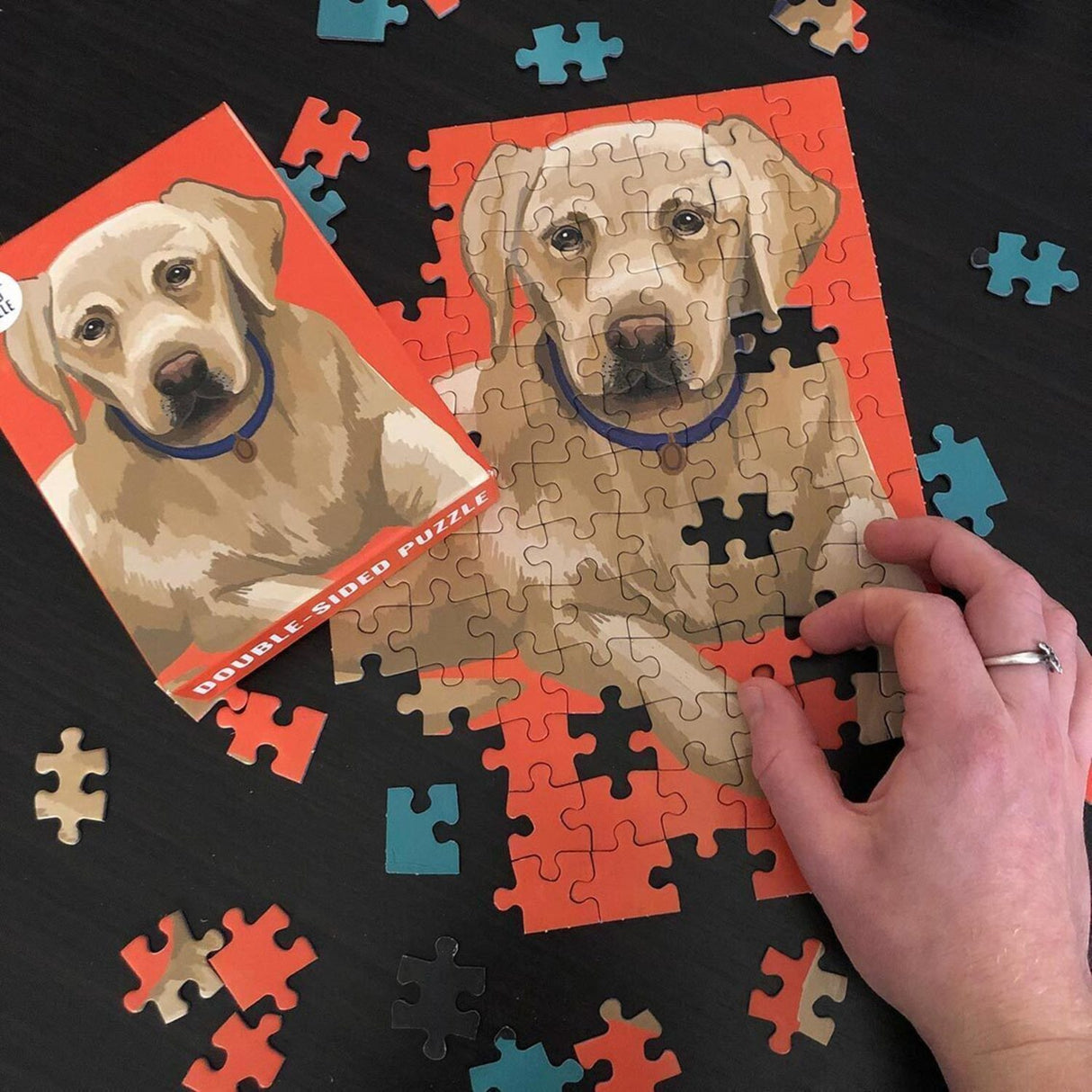 Labrador Hunde Puzzle mit zwei Seiten und 100 Teilen
